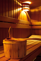 Sauna palestra formello
